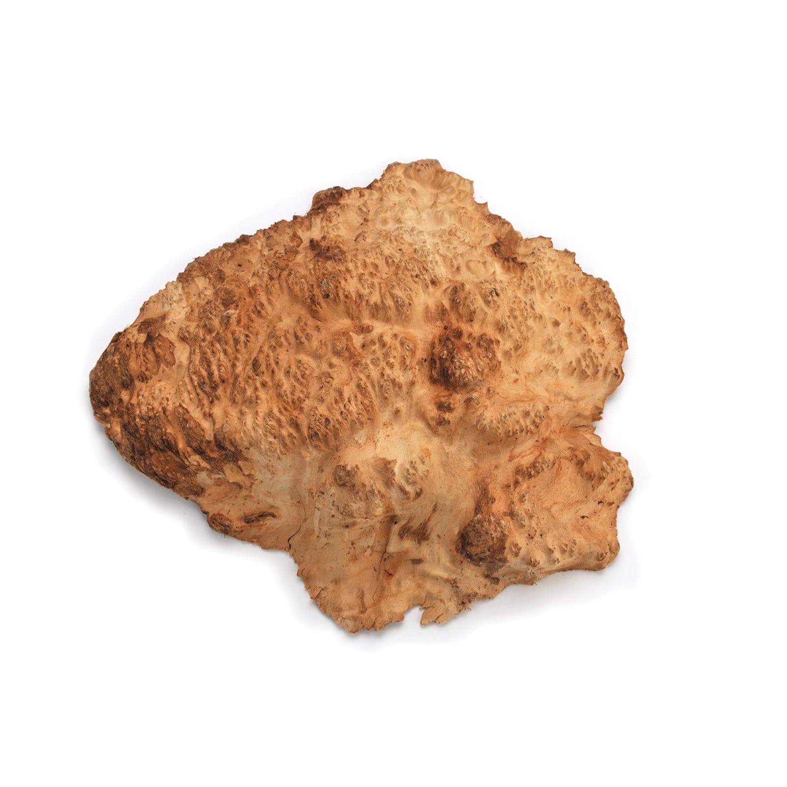 Australian Brown Mallee Burl Cap - 1 kg - 2 kg alt 0