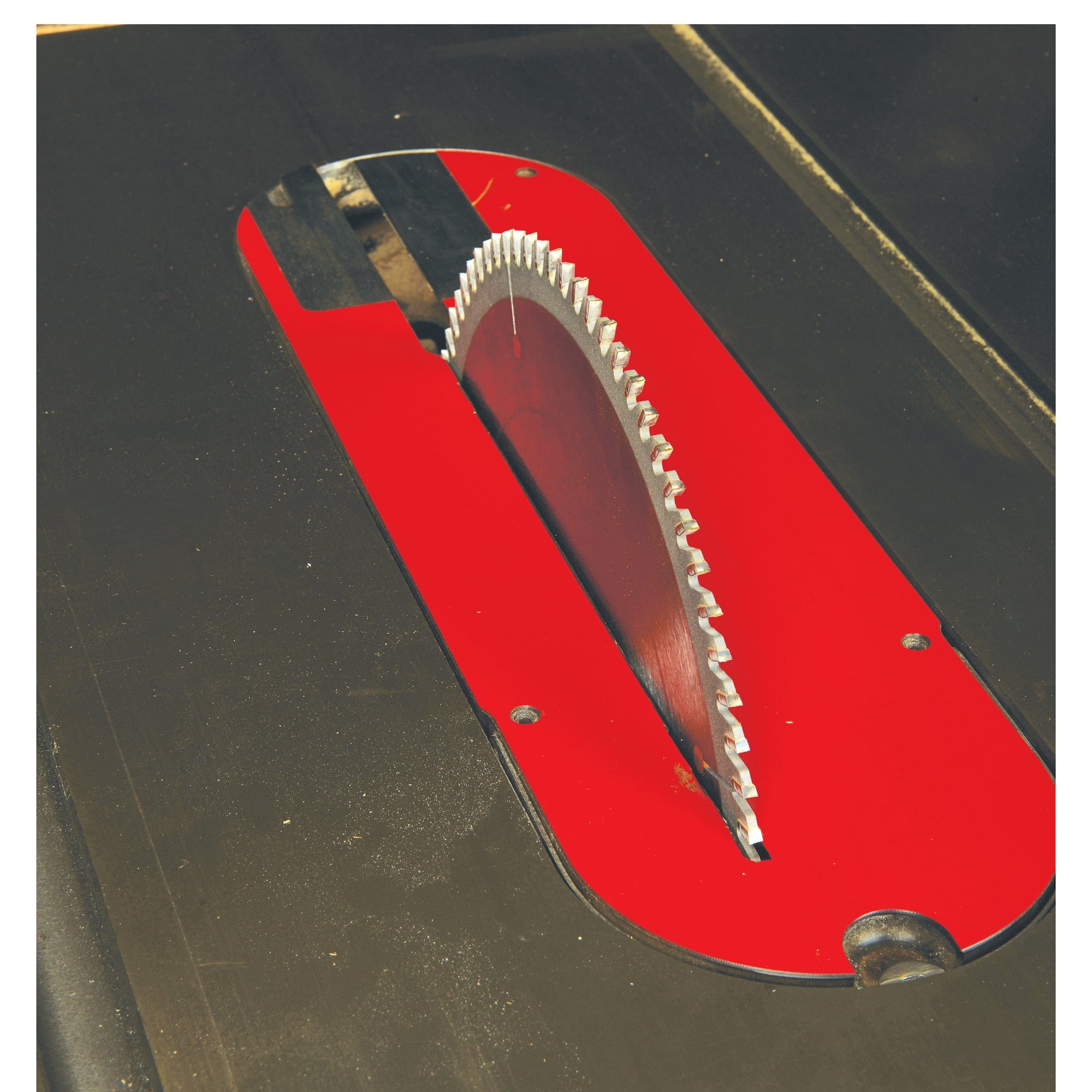 Precision Trim Saw Blade - 10" x 5/8" Bore x 80T - ATB alt 0