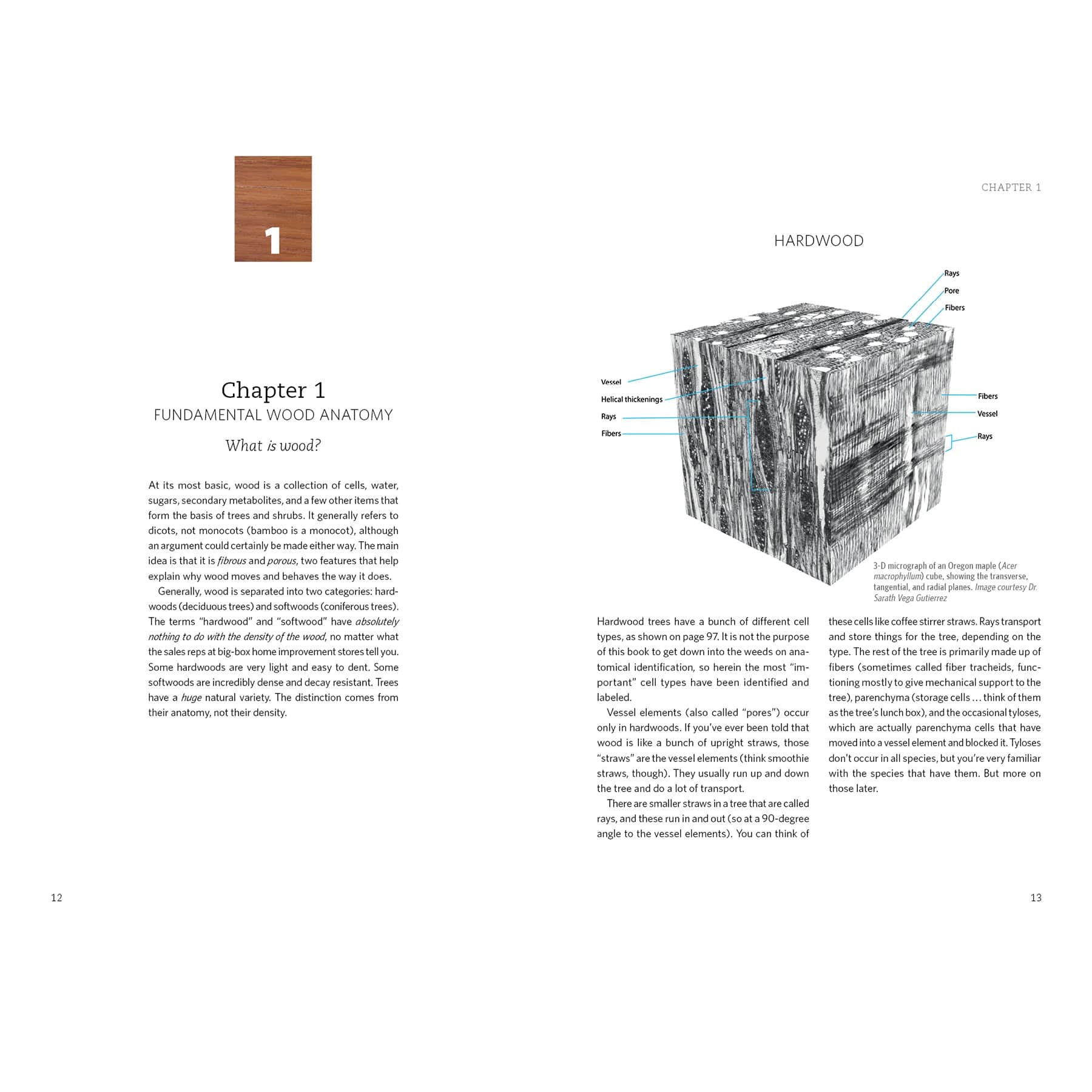 Living with Wood alt 0