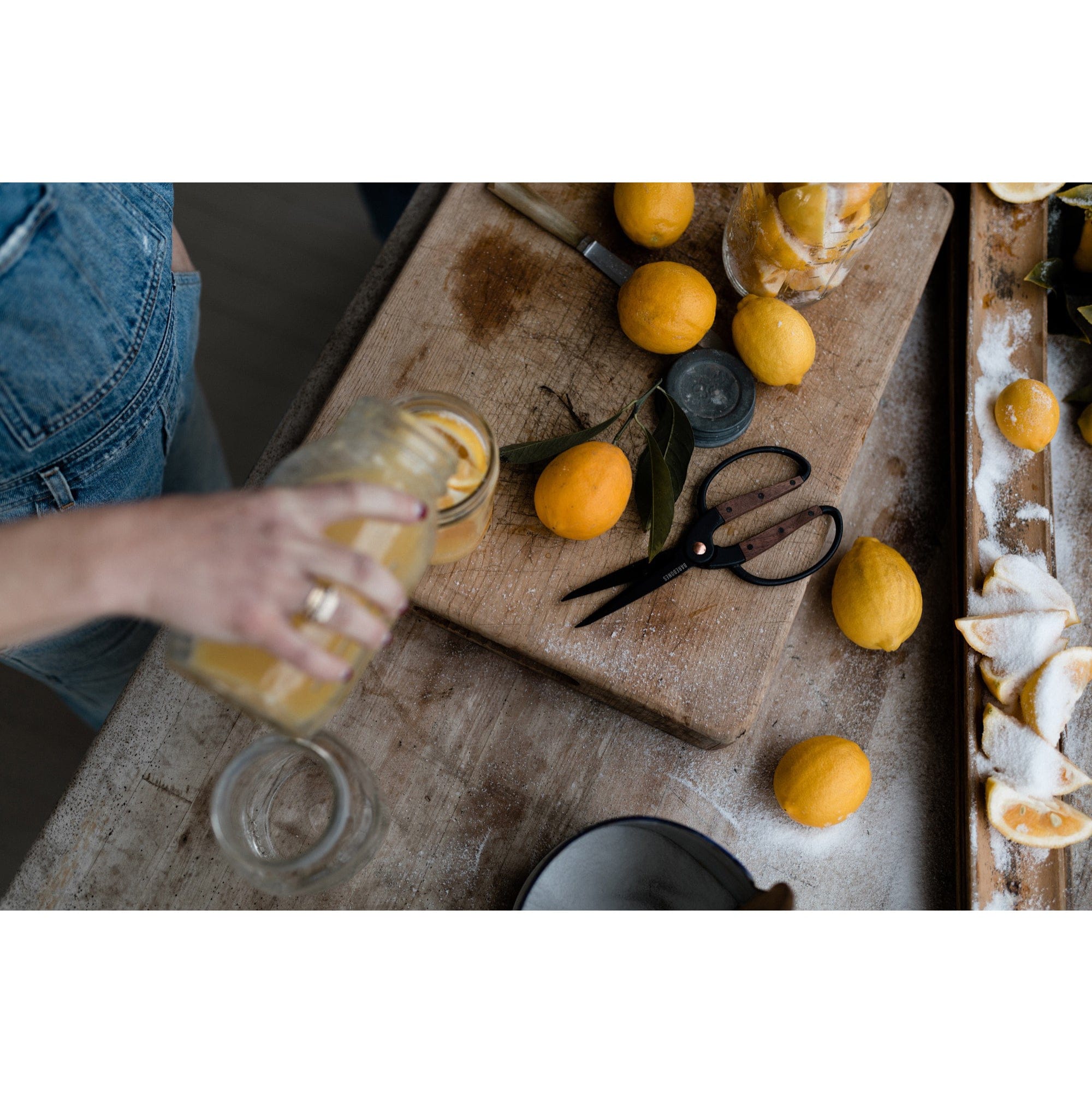 Garden Scissors Large alt 0