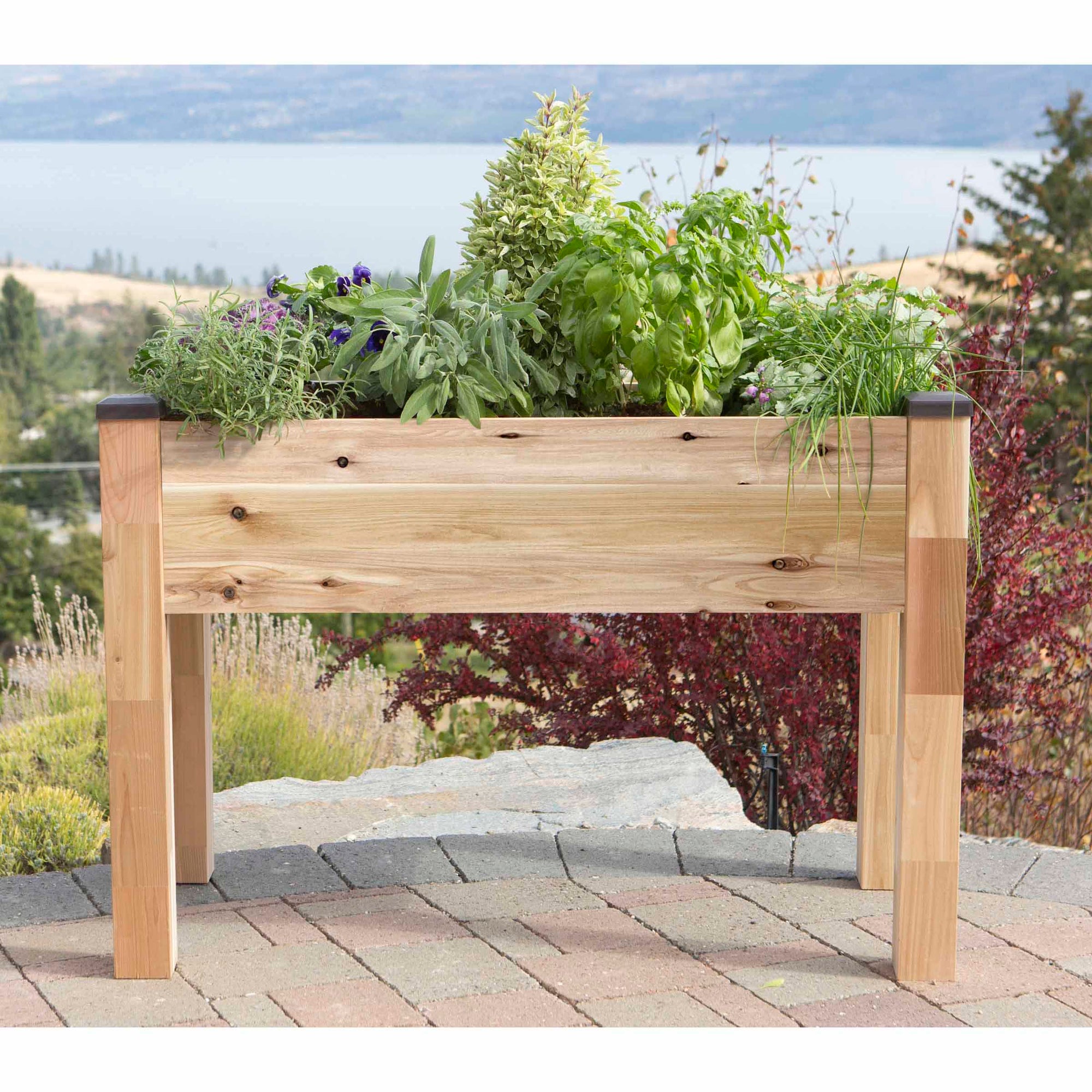 Elevated Cedar Planter 34" X 49" X 30"H alt 0