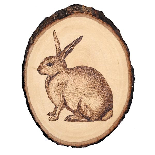 Basswood Country Rounds for Wood Burning, Hot Stamping & Carving - Medium alt 7