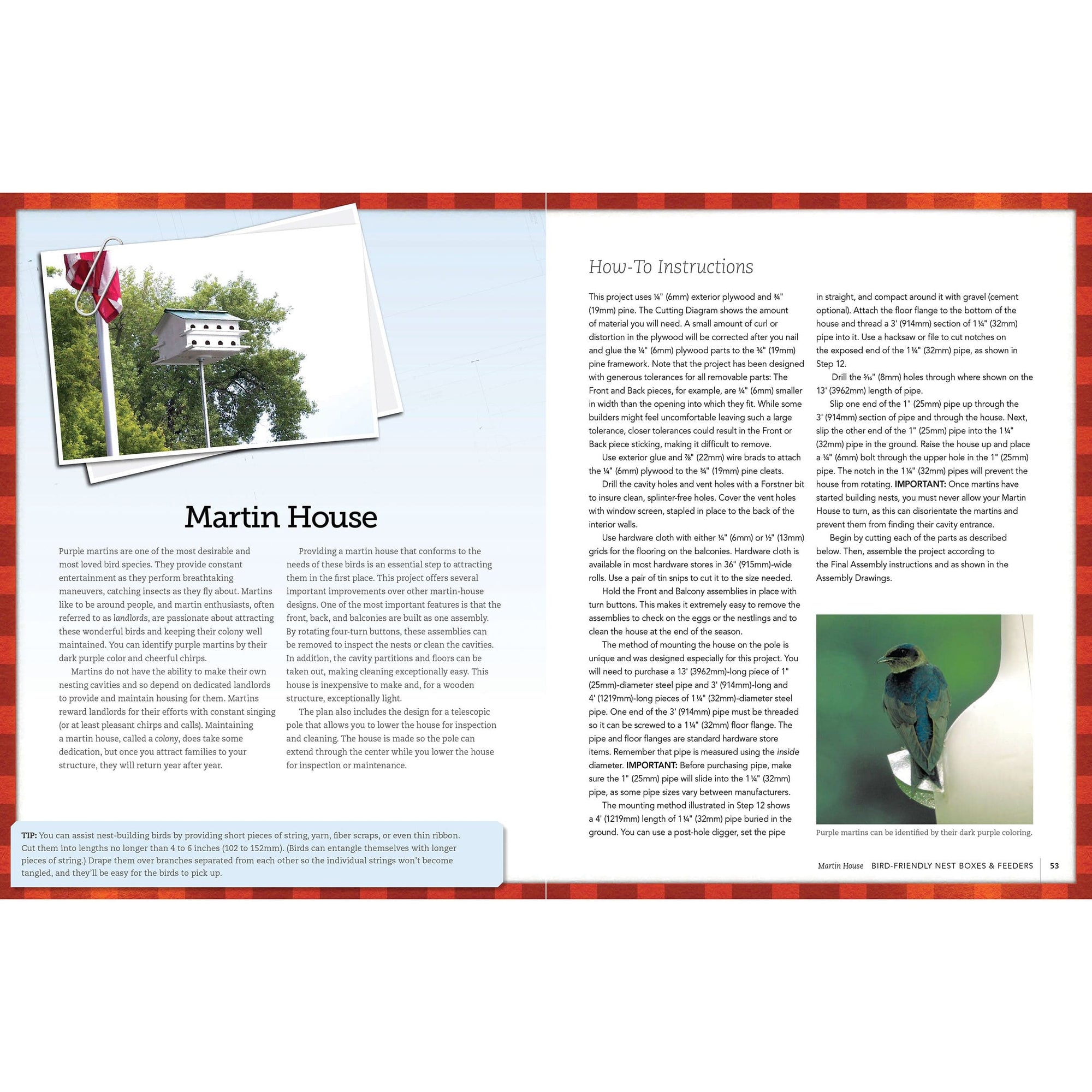 Bird-Friendly Nest Boxes and Feeders alt 0