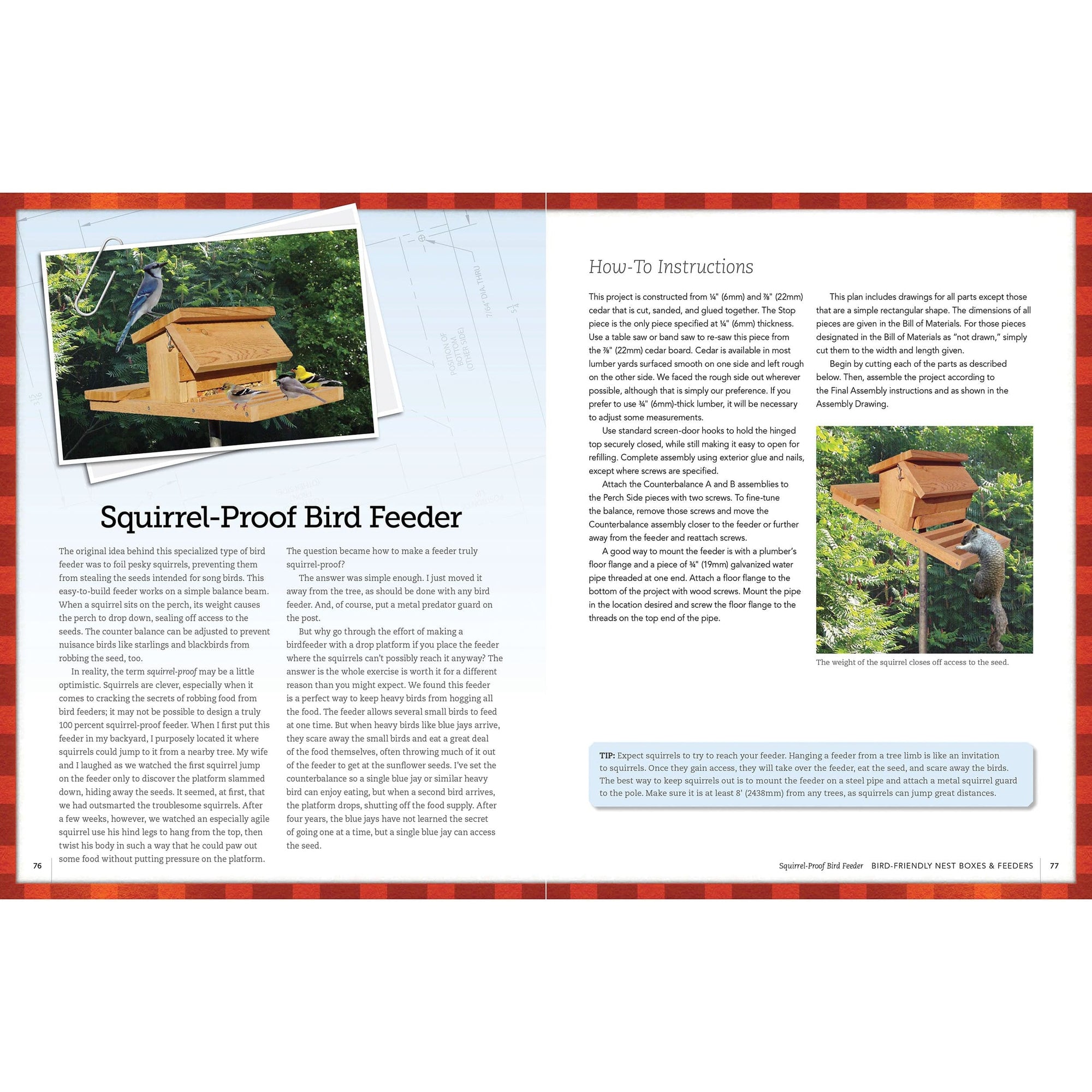 Bird-Friendly Nest Boxes and Feeders alt 0