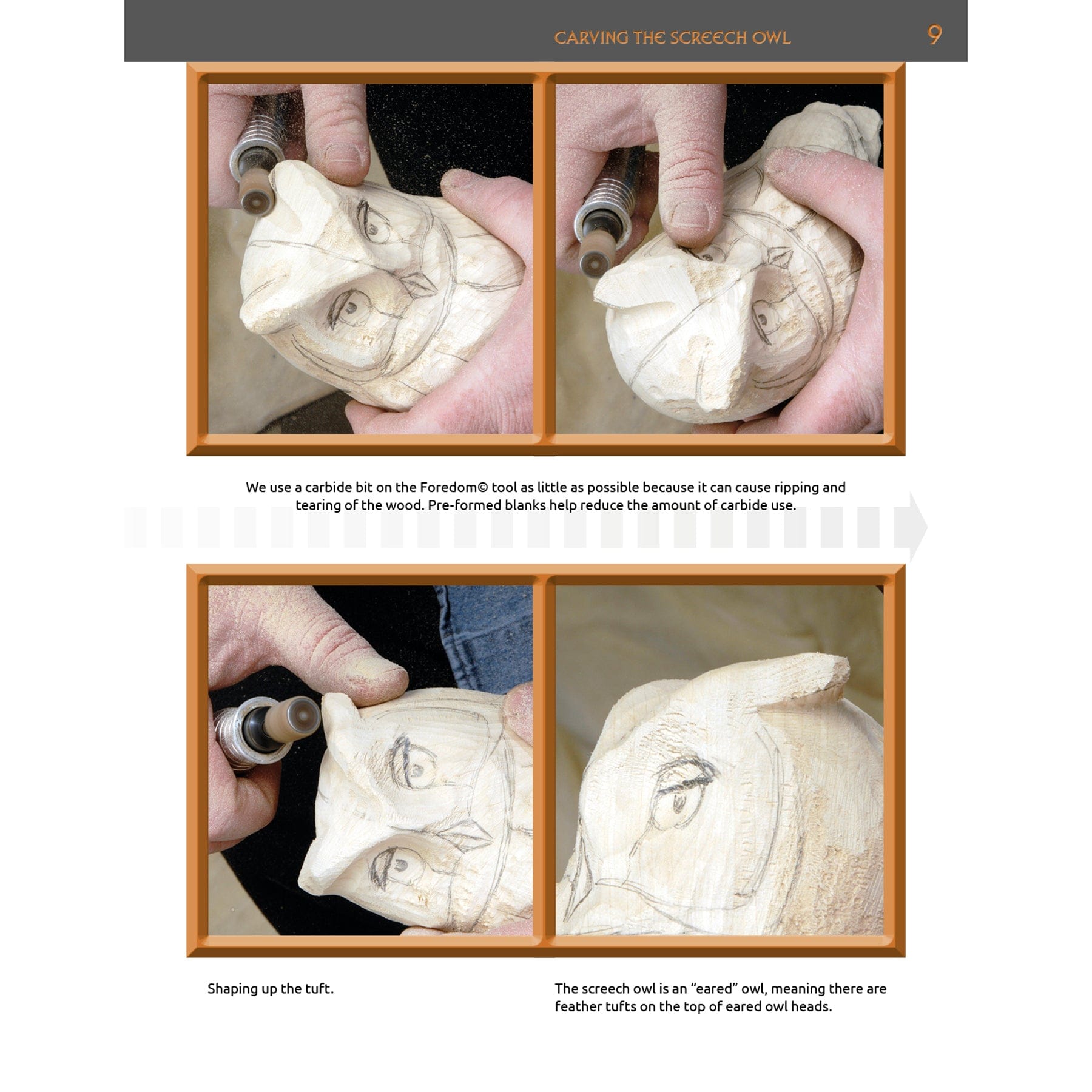 Carving the Screech Owl alt 0