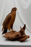 Detailed wooden carving of a hawk perched on a natural wood base in a workshop setting