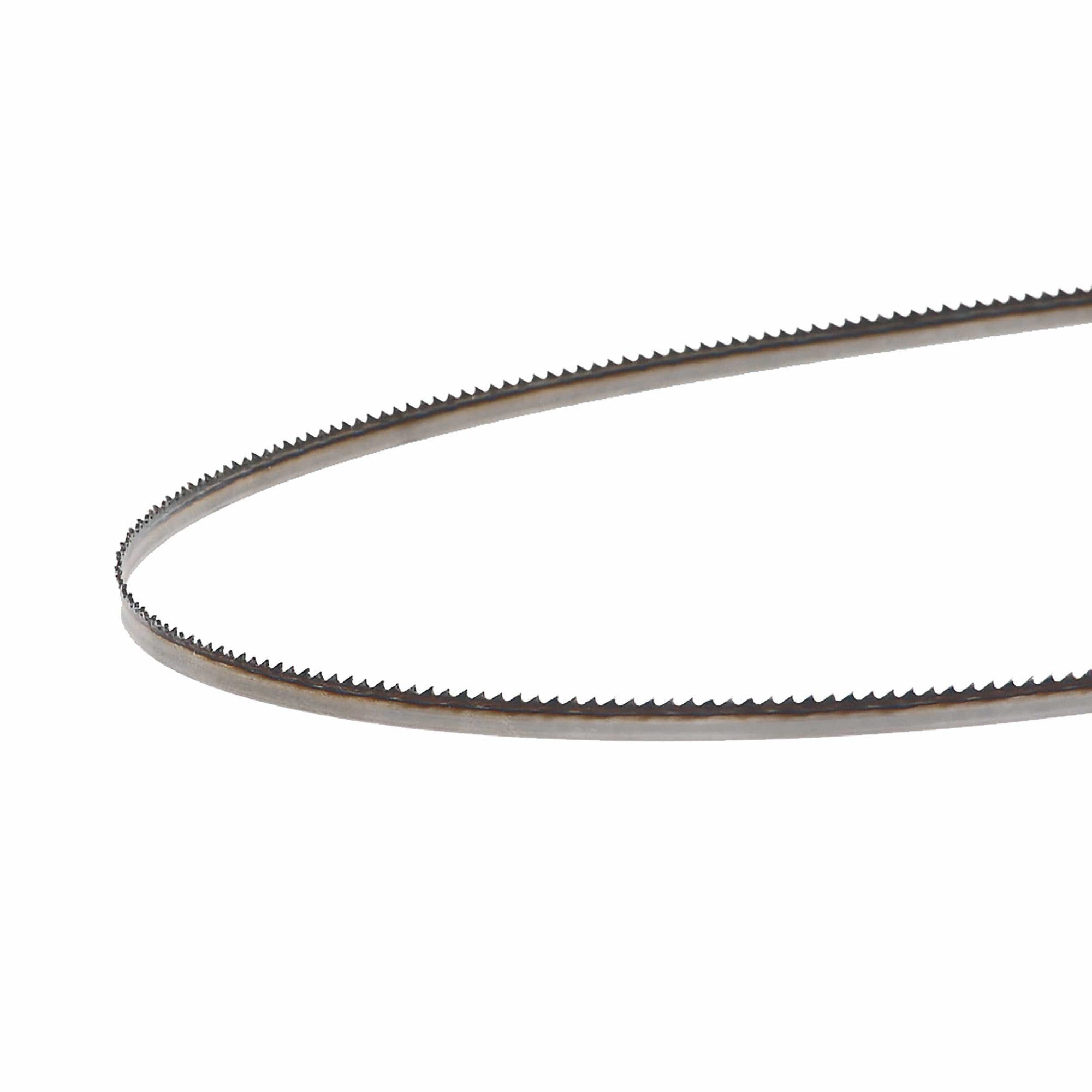 Bandsaw Blade - 80" x 1/4" x 10 TPI - Raker alt 0