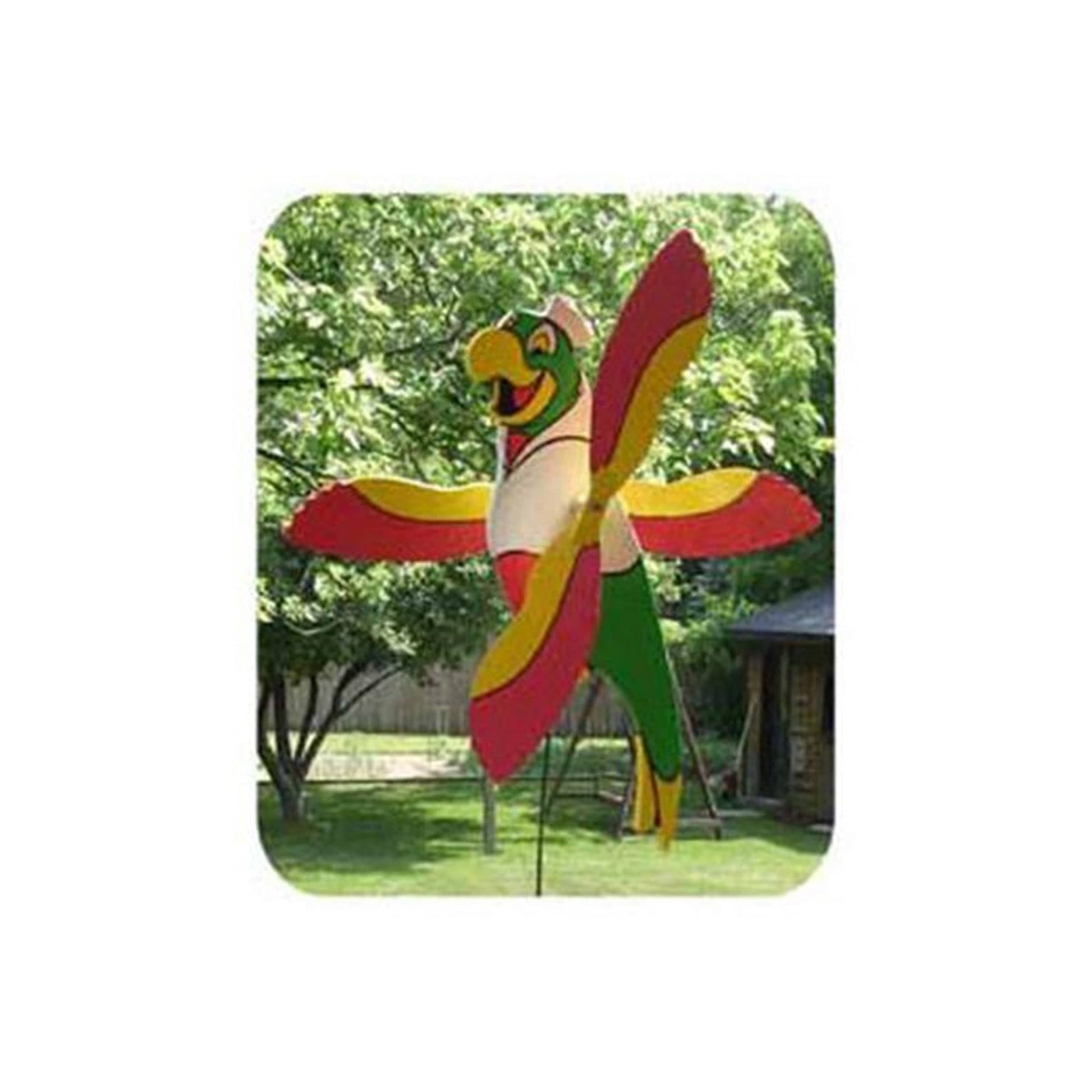 Woodworking Project Paper Plan to Build Parrot Whirligig alt 0