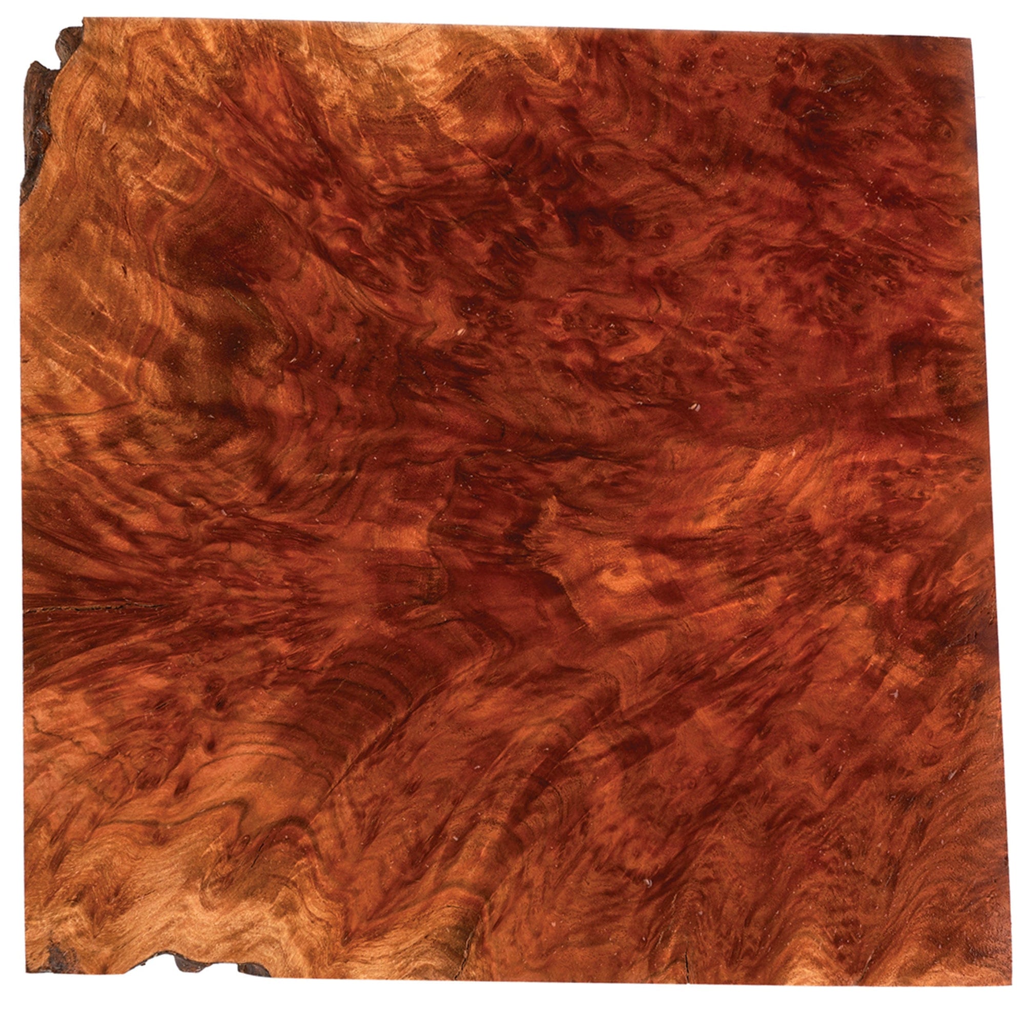 Australian Red Mallee Burl Cap - 2 kg - 4 kg alt 0