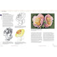 Great Book of Floral Patterns, Third Edition, Revised and Expanded alt 0