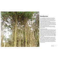 Carving Creative Walking Sticks and Canes alt 0