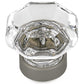 Eclectic Knob, 1-5/16" D, Matte Nickel, Clear alt 0