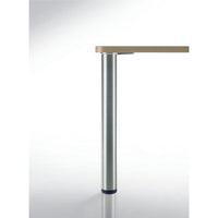 28" (710 mm) Adjustable Table Leg Brushed Nickel alt 0