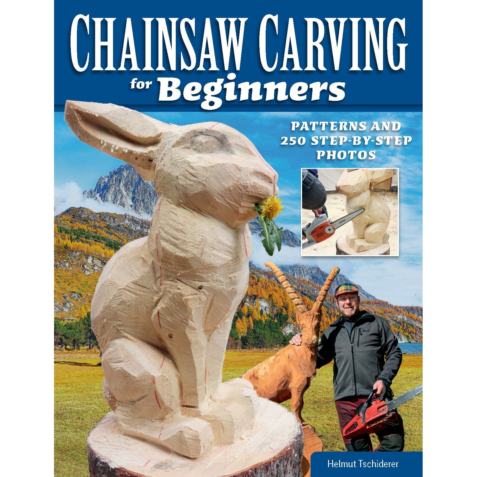 Chainsaw Carving for Beginnners alt 0