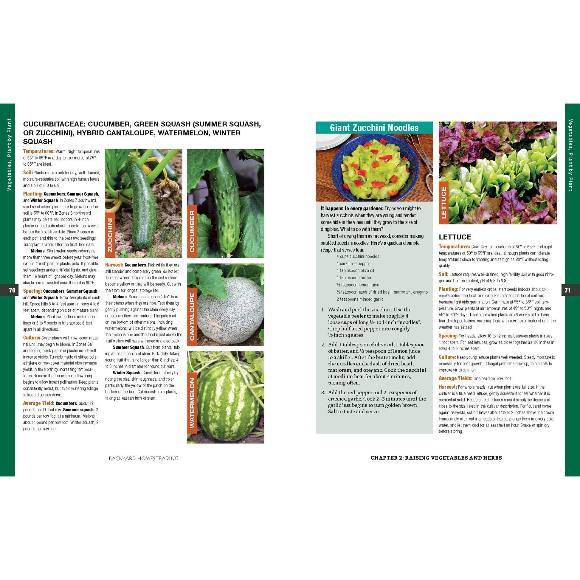 Backyard Homesteading, Second Revised Edition alt 0