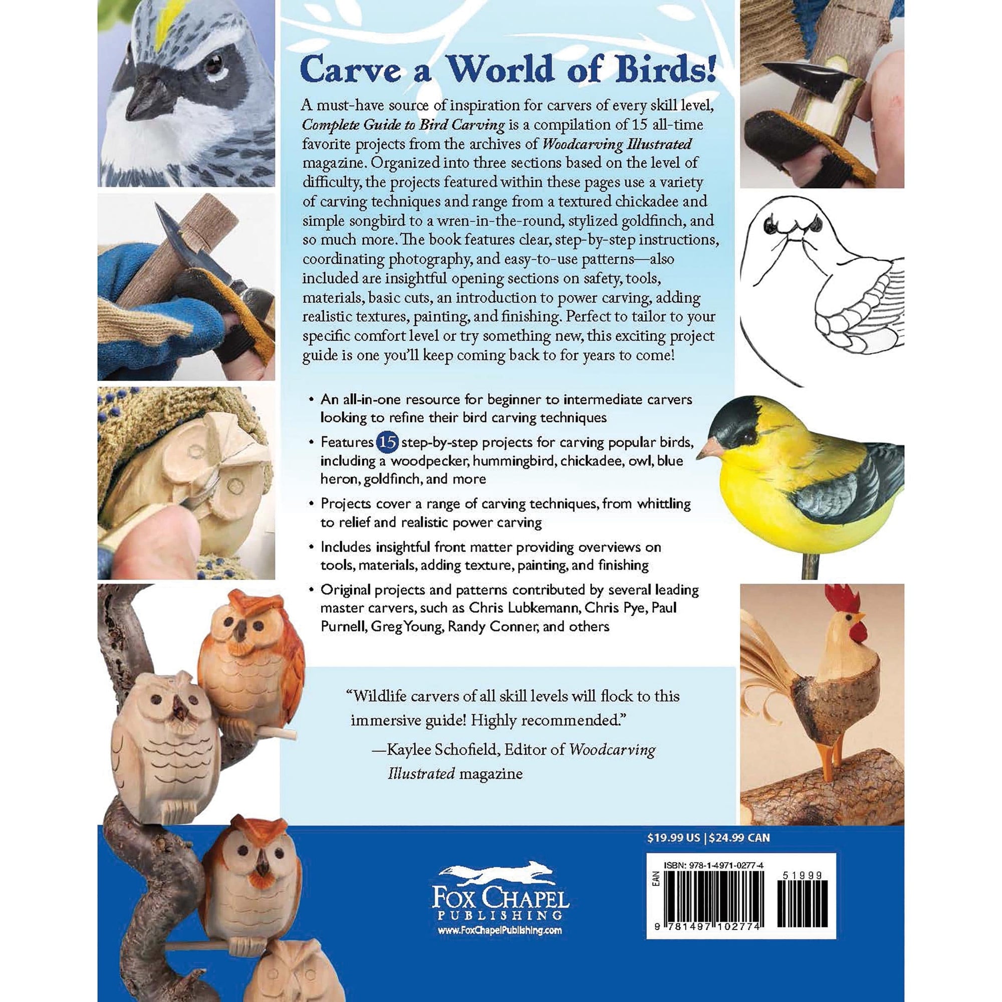 Complete Guide to Bird Carving - 15 Projects alt 0
