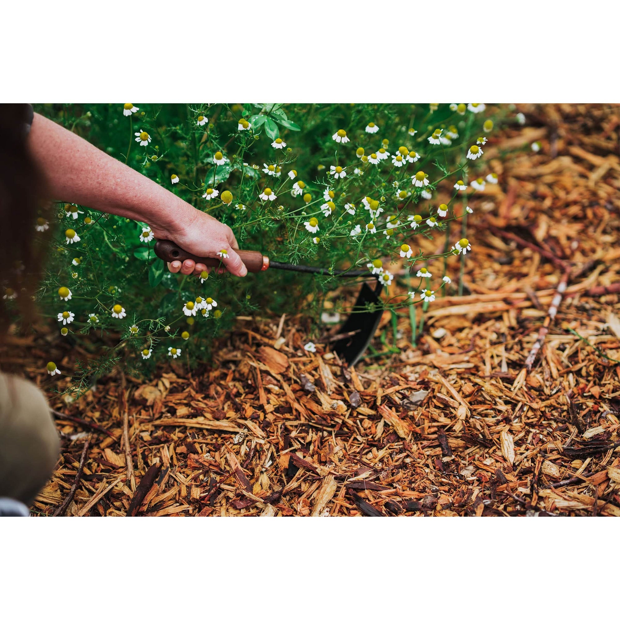 Square Hand Hoe alt 0