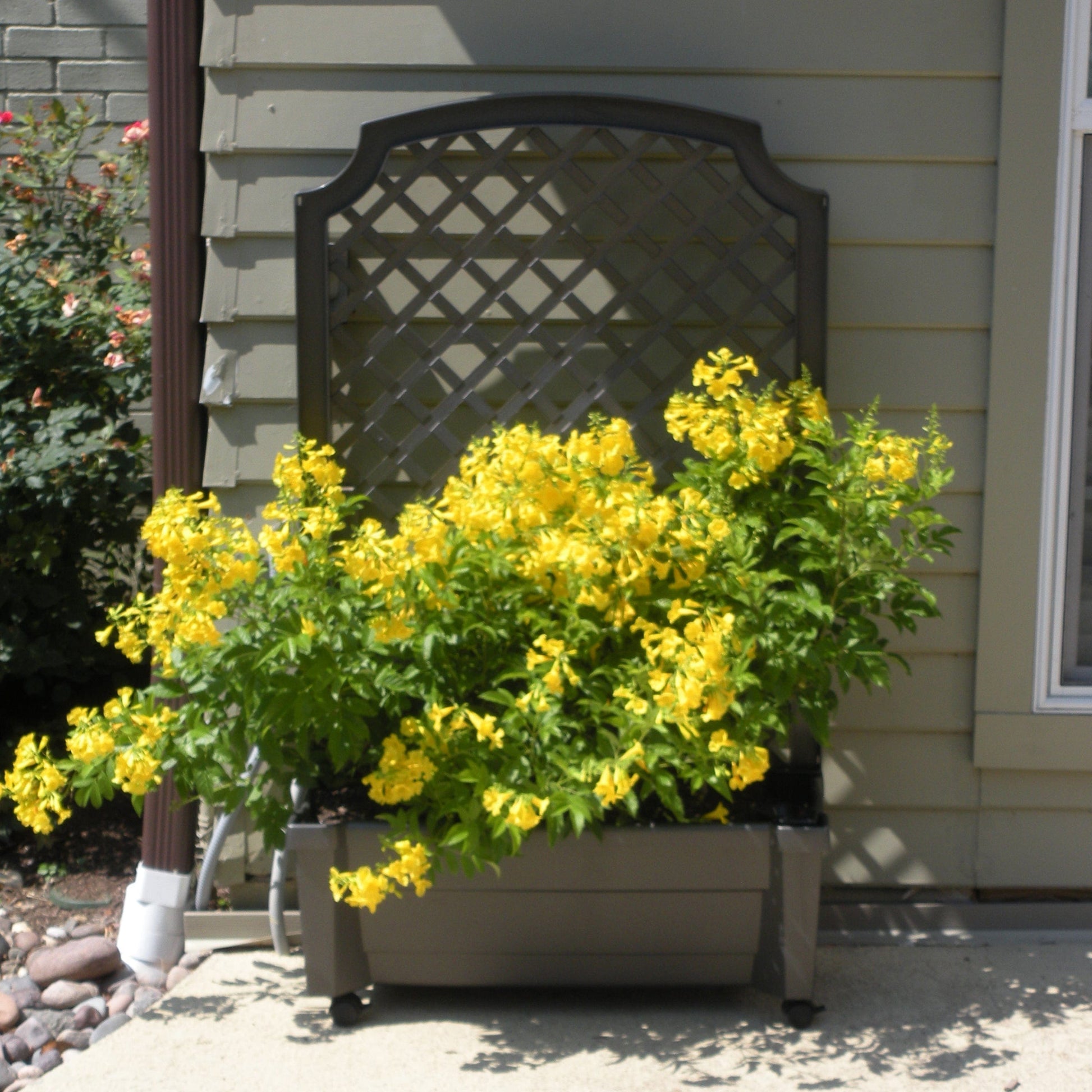 Calypso Planter Trellis Anthracite Gray alt 0