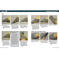 Carving Award-Winning Songbirds alt 0