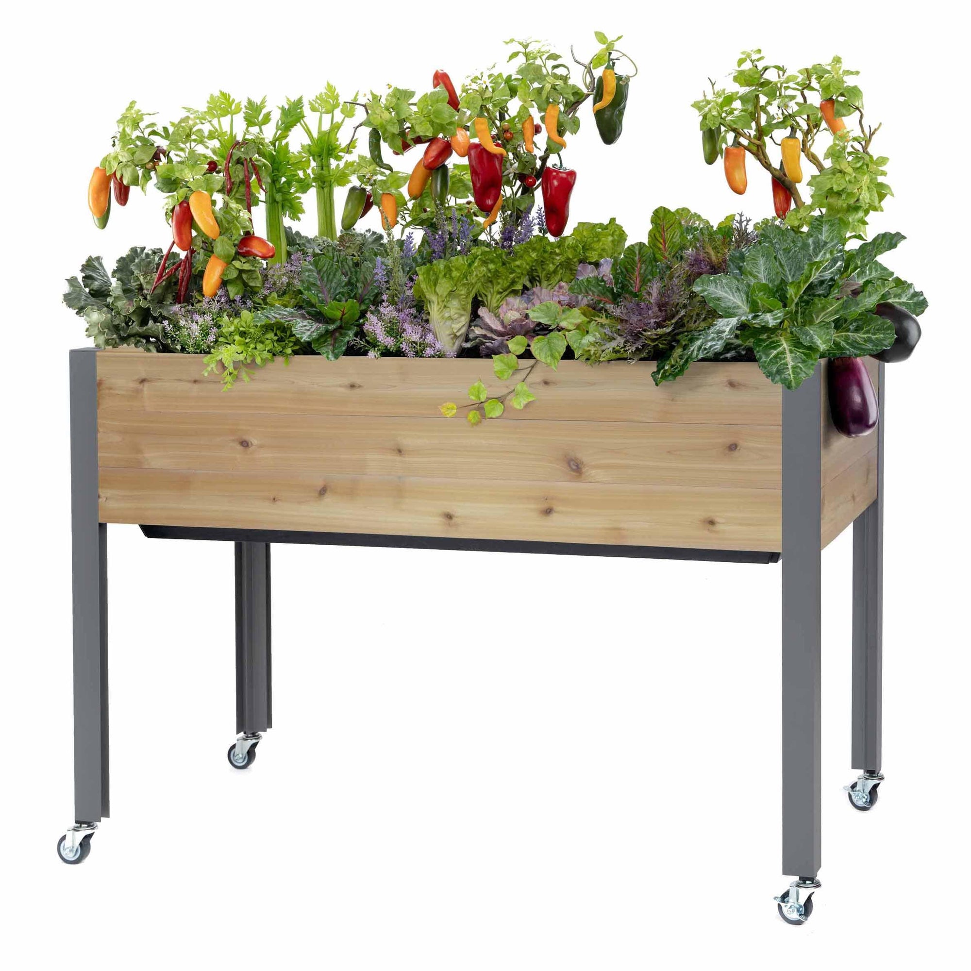 Self-Watering Elevated Planter 21" x 47" x 32"H Cedar alt 0