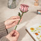 Pink Rose 3D Wood Puzzle Kit