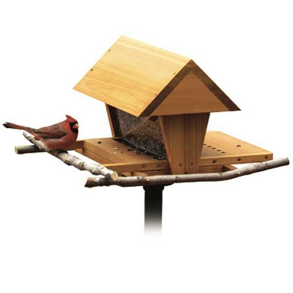 Woodworking Project Paper Plan to Build Snack Shop Bird Feeder alt 0