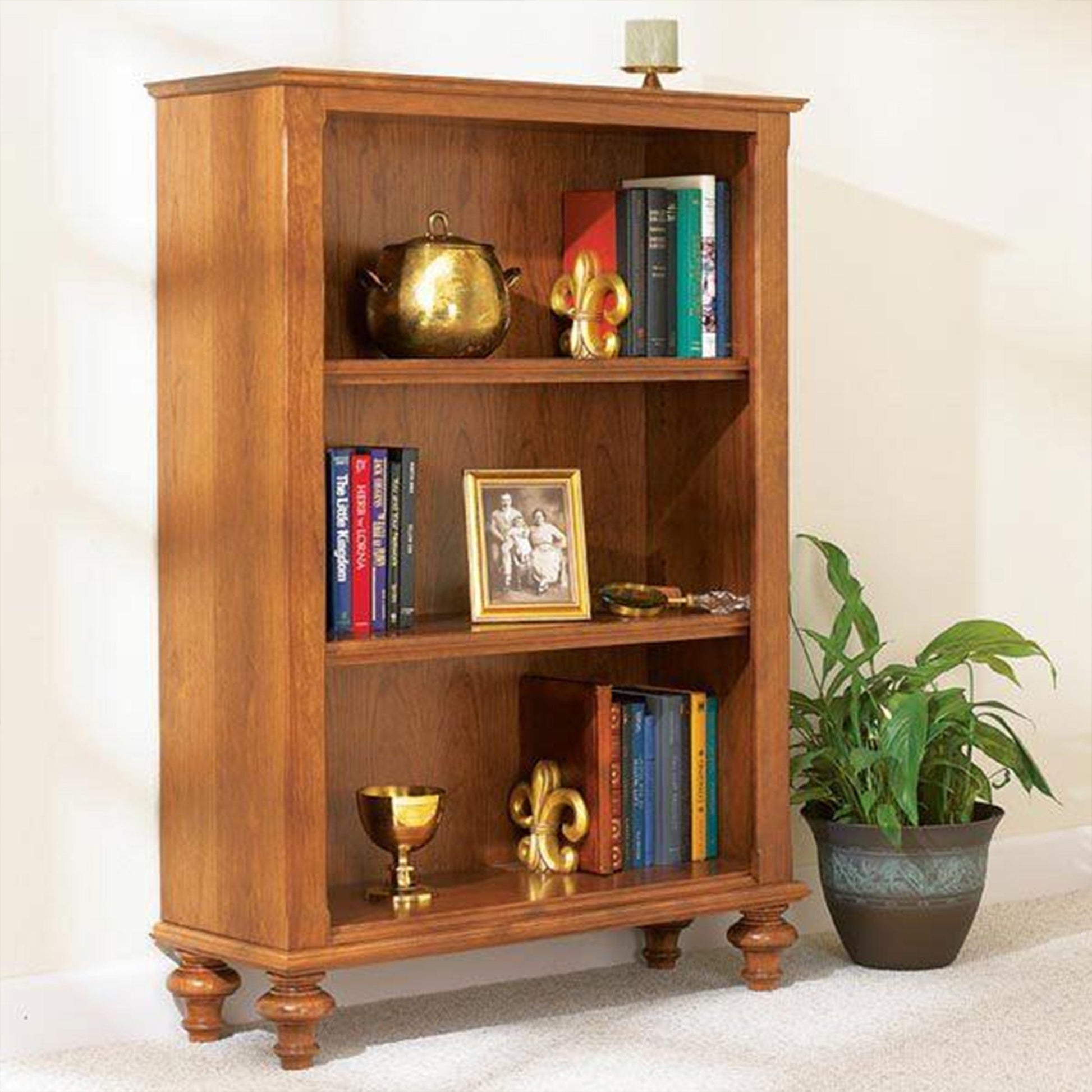Downloadable Woodworking Project Plan to Build Build-in-a-Weekend Bookcase alt 0
