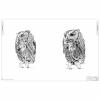 Illustrated Owl - Screech & Snowy: the Ultimate Reference for Bird Lovers, Woodcarvers, and Artists alt 0