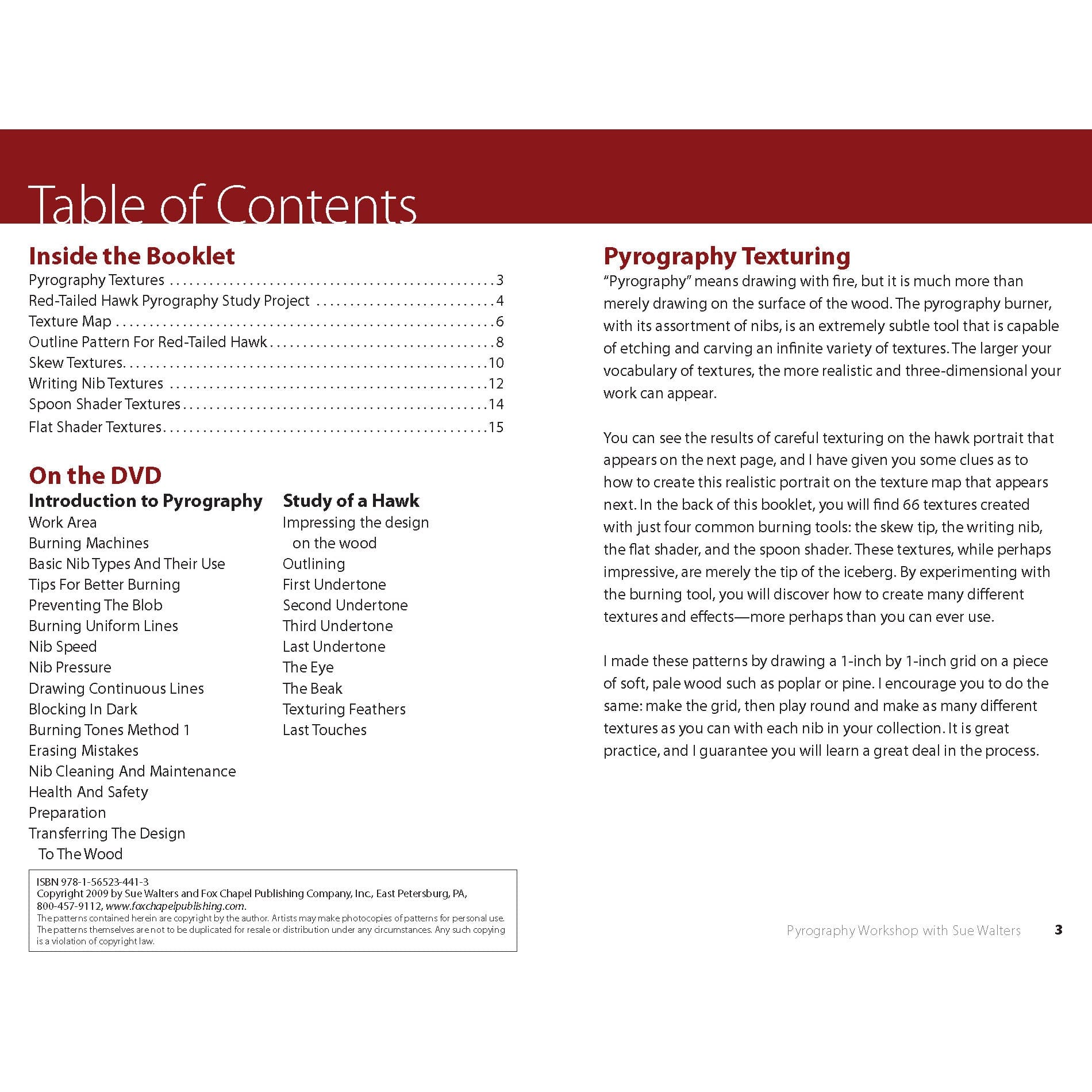 Pyrography Workshop with Sue Walters 2-DVD Set and Booklet alt 0