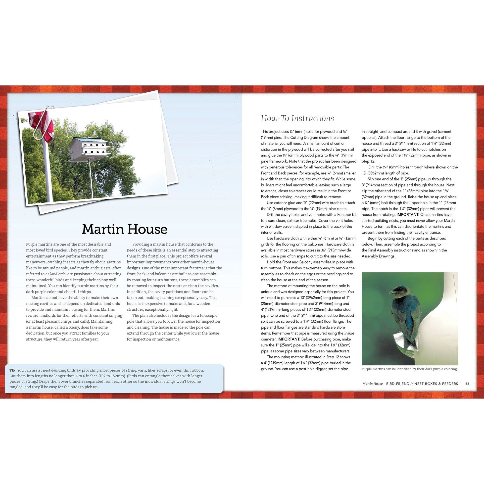 Bird-Friendly Nest Boxes and Feeders alt 0