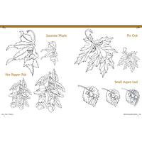 Relief Carving Wood Spirits Revised Edition alt 0